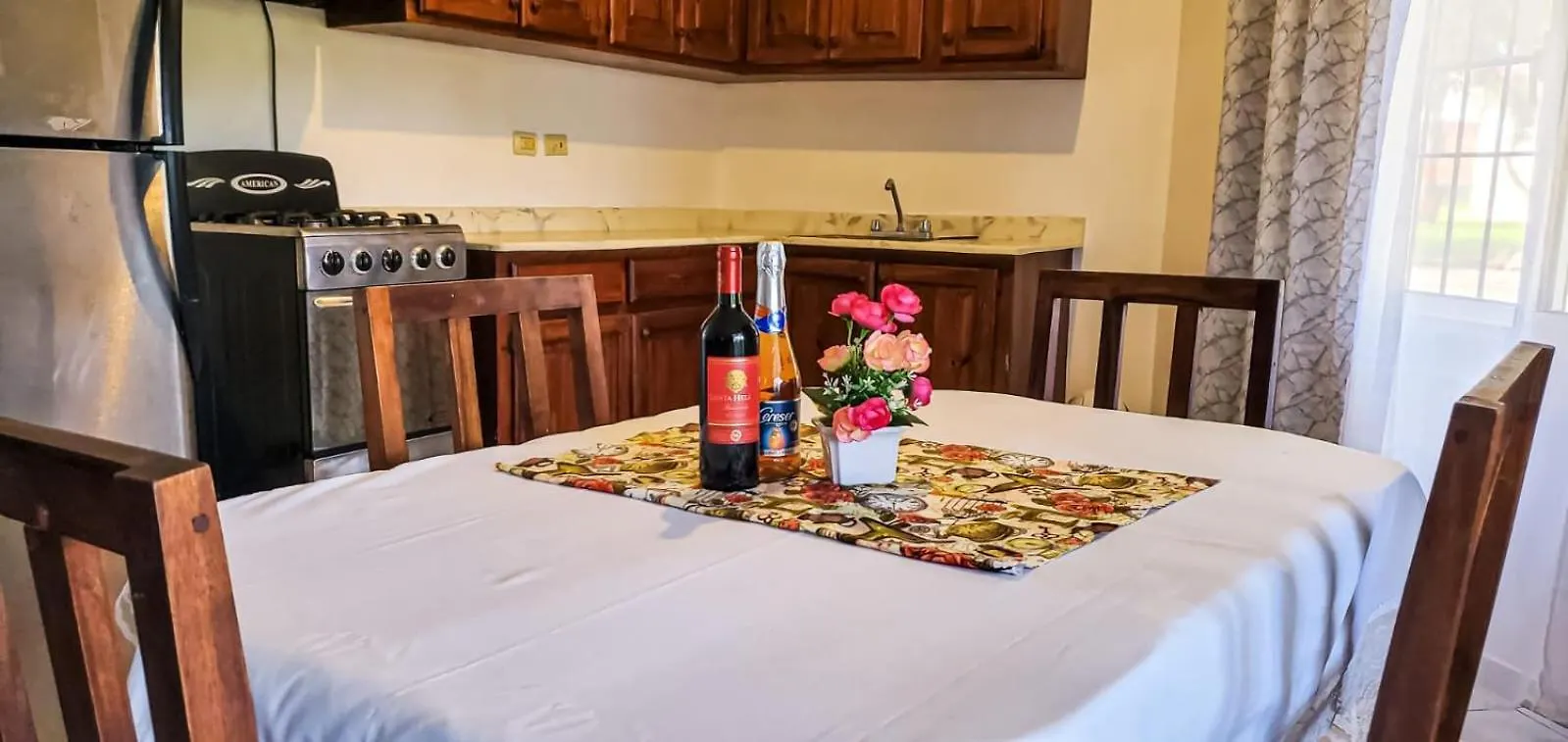 Yoyo Dolfin Residencia Villa Sosua Dominican Republic