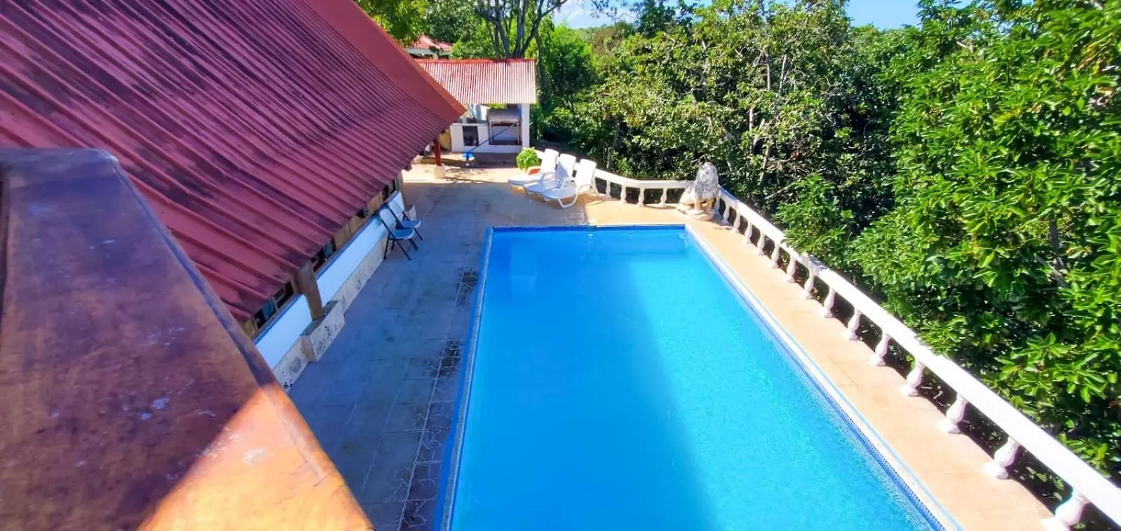 Yoyo Dolfin Residencia Villa Sosua